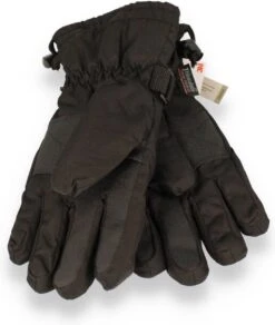 Starling Skihandschoenen Taslan Sr - Richmond - Zwart - 9 -SkiKleding Winkel 1016x1200