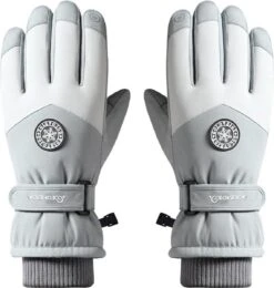 Touchscreen Ski Handschoenen - Grijs